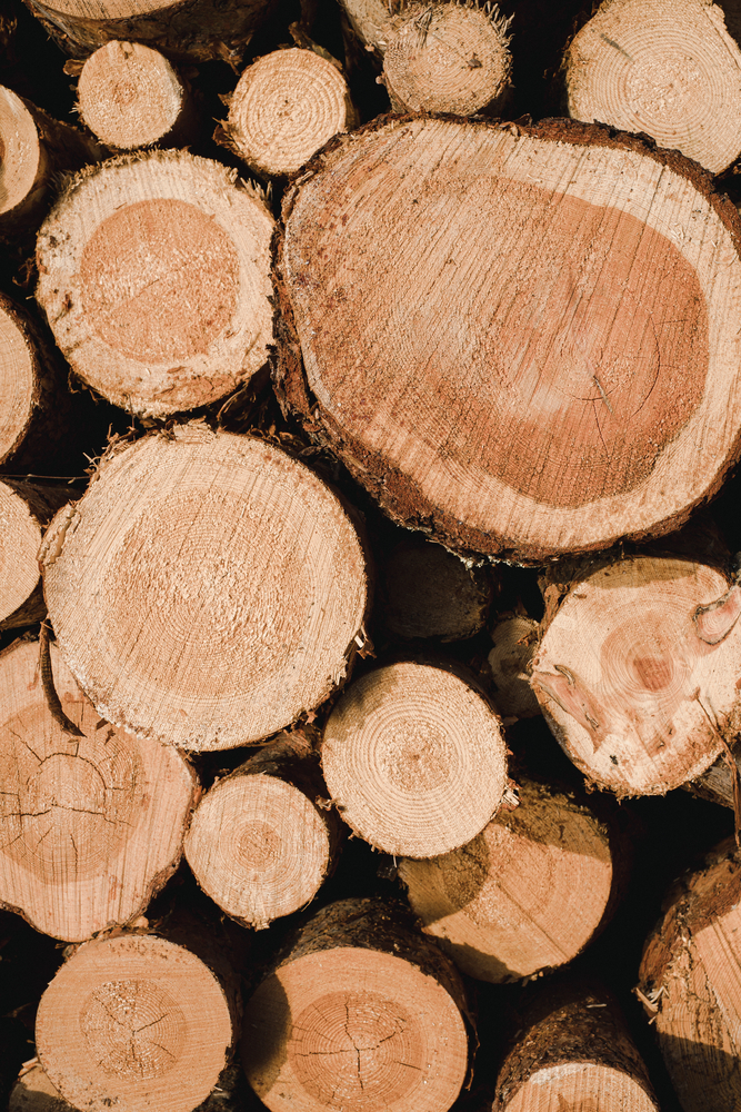 Tartak – Źródło Wyjątkowego Drewna: Buduj Z Pasją i Odpornością.